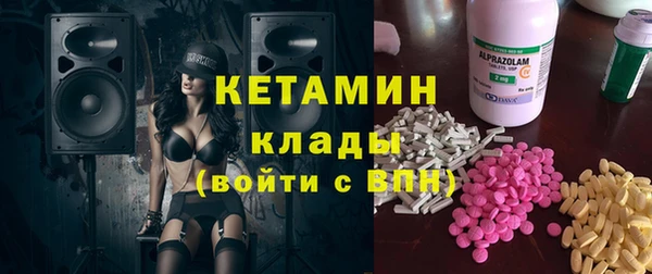 крисы Алексин