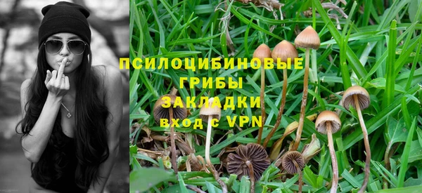 не бодяженный Алзамай