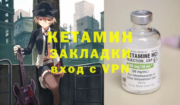 крисы Алексин