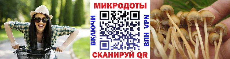 MEGA зеркало  Бикин  Галлюциногенные грибы мицелий 