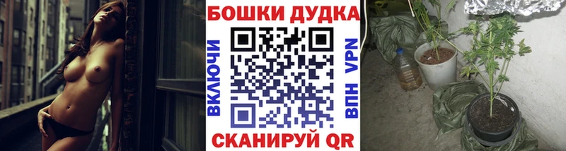 хочу наркоту  Бикин  Бошки марихуана индика 